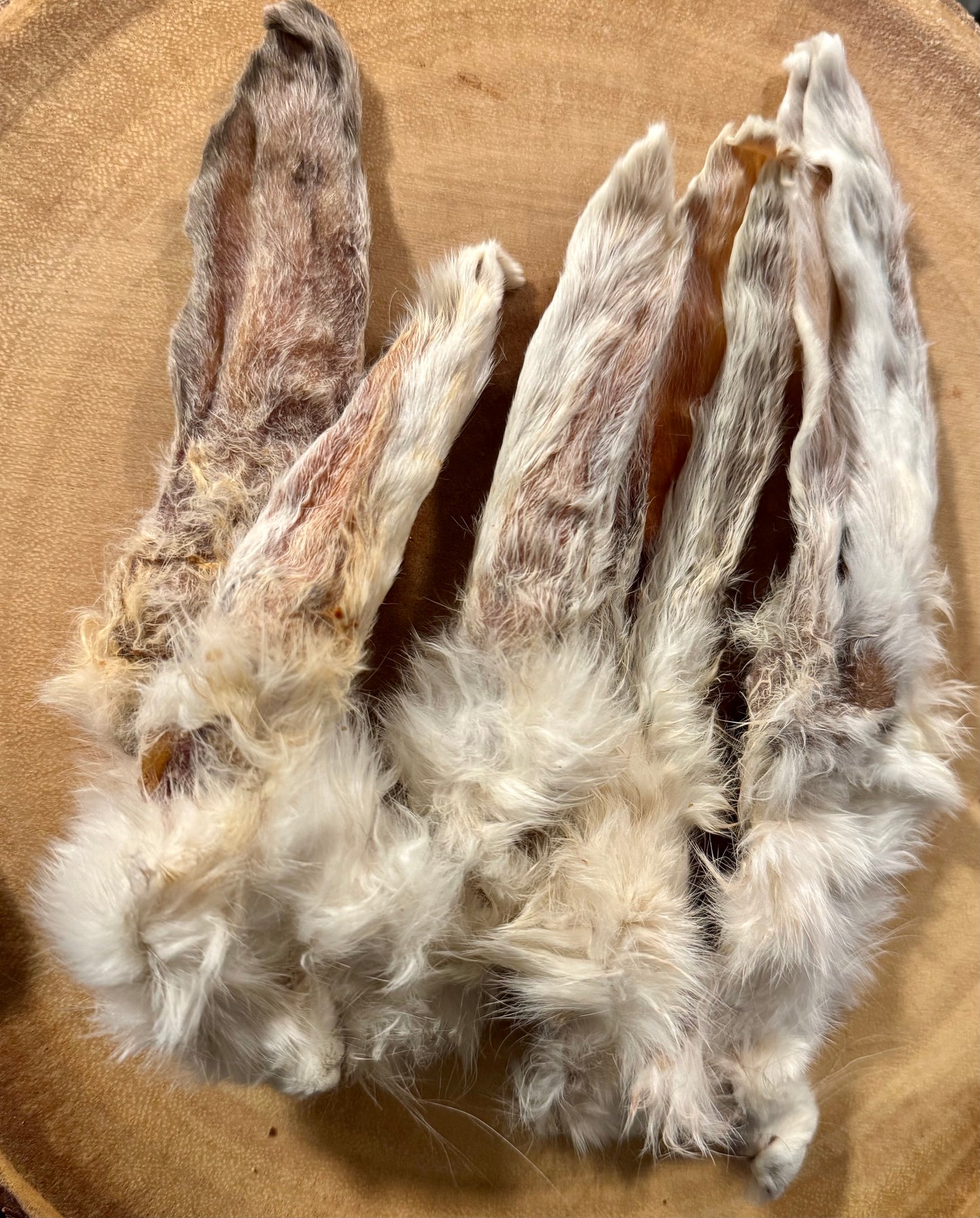 Rabbit Ears for Dogs and Cats