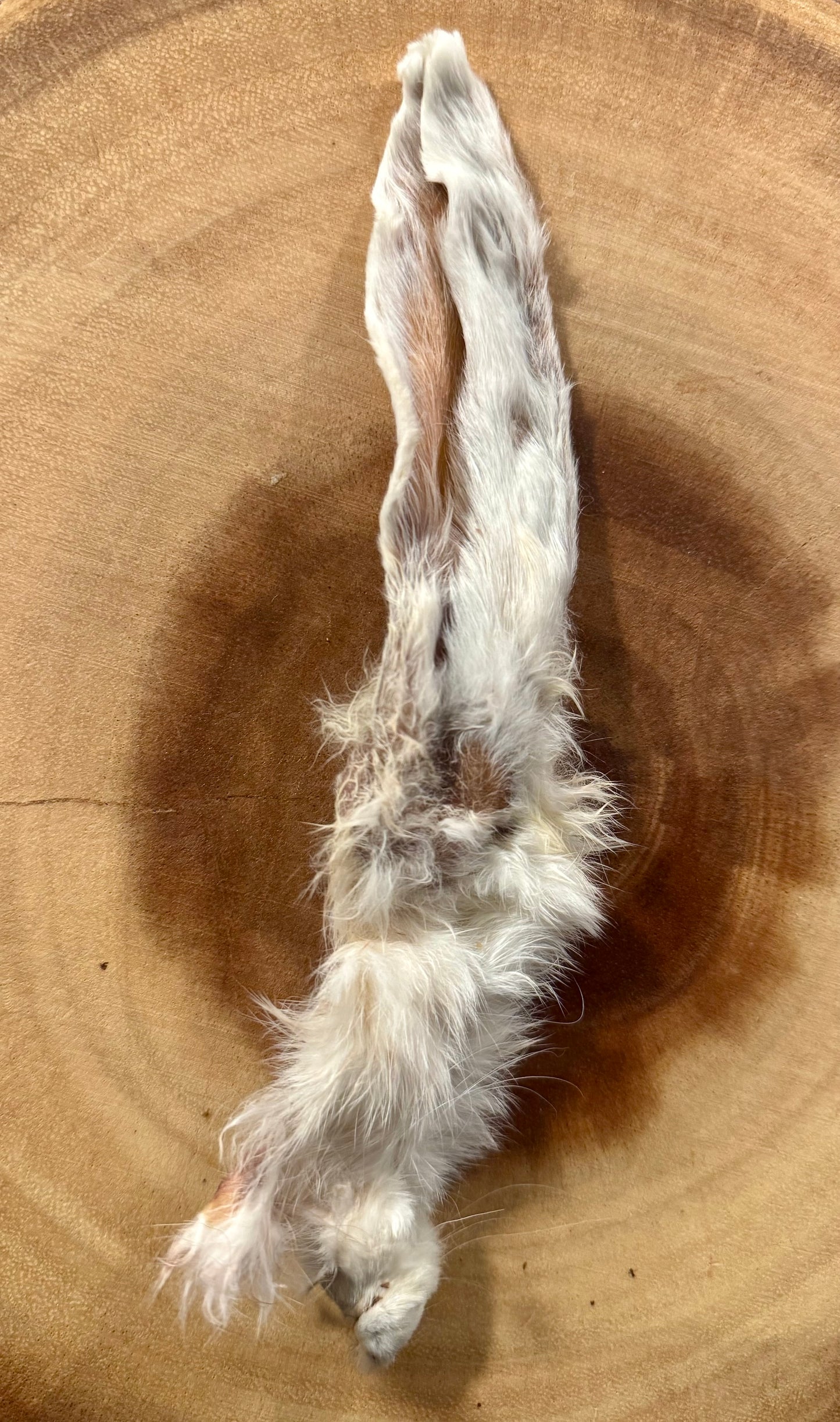 Rabbit Ears for Dogs and Cats