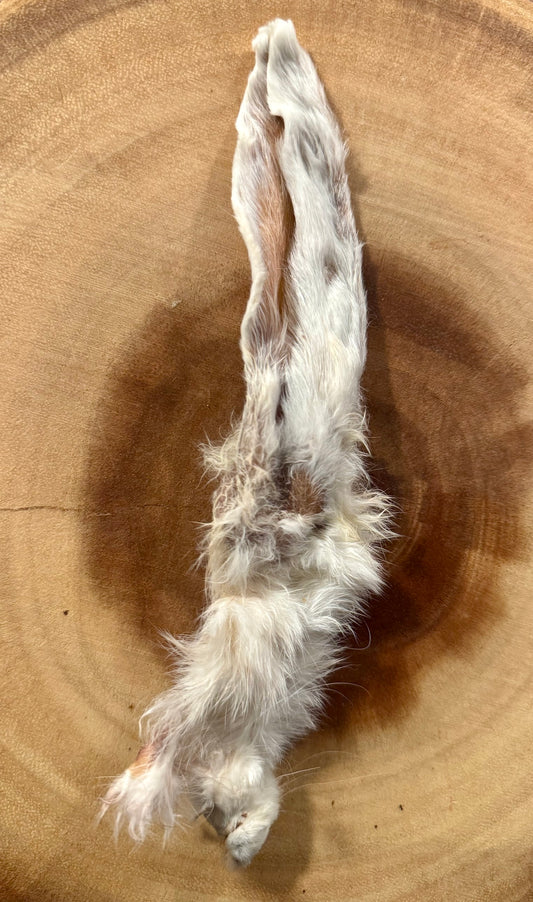 Rabbit Ears for Dogs and Cats